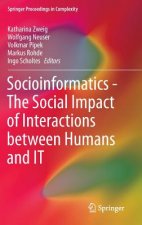 Socioinformatics - The Social Impact of Interactions between Humans and IT