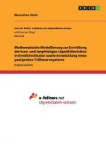 Mathematische Modellierung zur Ermittlung der kurz- und langfristigen Liquiditatsrisiken in Kreditinstituten sowie Entwicklung eines geeigneten Fruhwa