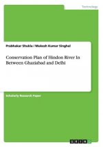 Conservation Plan of Hindon River In Between Ghaziabad and Delhi