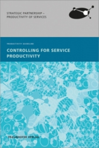 Controlling for Service Productivity.