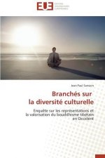 Branch s Sur La Diversit  Culturelle
