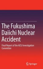 Fukushima Daiichi Nuclear Accident