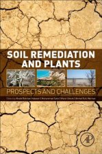 Soil Remediation and Plants