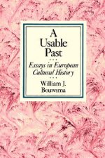 Usable Past