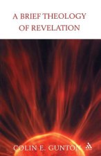 Brief Theology of Revelation