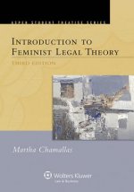 Introduction to Feminist Legal Theory, Third Edition