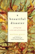 Beautiful Disaster - Finding Hope in the Midst of Brokenness