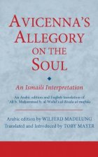 Avicenna's Allegory on the Soul