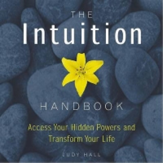 Intuition Handbook