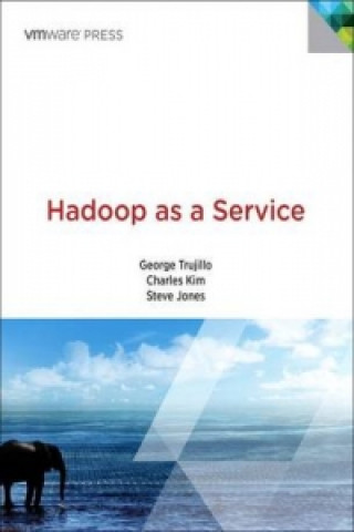 Virtualizing Hadoop