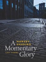 Momentary Glory