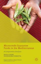 Microcredit Guarantee Funds in the Mediterranean