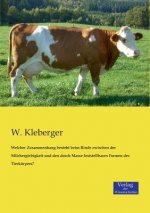 Welcher Zusammenhang besteht beim Rinde zwischen der Milchergiebigkeit und den durch Masse feststellbaren Formen des Tierkoerpers?