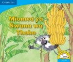 Miomva ya Nwana wa Thoho (Tshivenda)