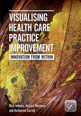 Visualising Health Care Practice Improvement