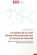 Saisine de la Cour P nale Internationale Par Le Conseil de S curit