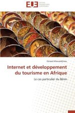 Internet Et D veloppement Du Tourisme En Afrique