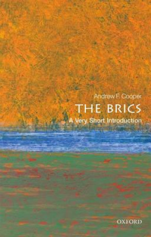 BRICS: A Very Short Introduction