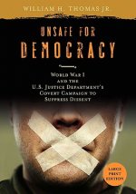 Unsafe for Democracy
