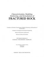 Characterization, Modeling, Monitoring, and Remediation of Fractured Rock