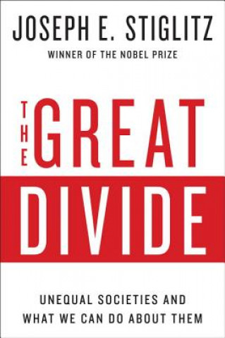 Great Divide - Unequal Societies and What We Can Do About Them