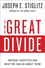 Great Divide - Unequal Societies and What We Can Do About Them