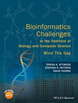Bioinformatics Challenges at the Interface of Biology and Computer Science