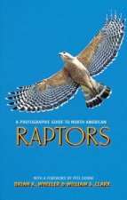 Photographic Guide to North American Raptors