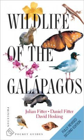 Wildlife of the GalA!pagos - Second Edition