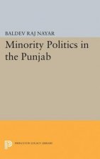 Minority Politics in the Punjab