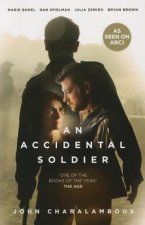 Accidental Soldier