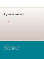 Cypress Swamps