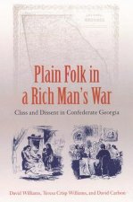 Plain Folk In A Rich Man'S War: Class And Dissent In Confederate Georgia