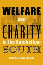 Welfare And Charity In The Antebellum South