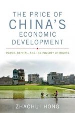 Price of China's Economic Development