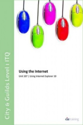 City & Guilds Level 1 ITQ - Unit 107 - Using the Internet Using Internet Explorer 10