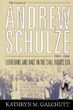 Career of Andrew Schulze