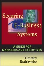 Securing E-Business Systems - A Guide for Managers and Executives