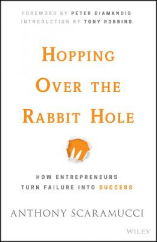Hopping Over the Rabbit Hole - How Entrepreneurs Turn Failure into Success
