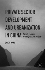 Private Sector Development and Urbanization in China