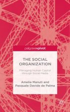 Social Organization