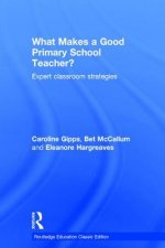 What Makes a Good Primary School Teacher?