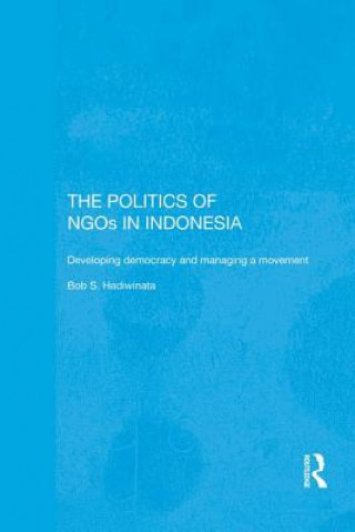 Politics of NGOs in Indonesia