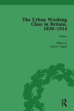 Urban Working Class in Britain, 1830-1914 Vol 3