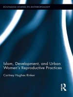 Islam, Development, and Urban Women's Reproductive Practices