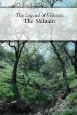 Legend of Videron: The Militant