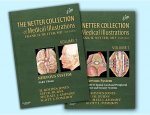 Netter Collection of Medical Illustrations: Nervous System Package