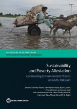 Sustainability and poverty alleviation