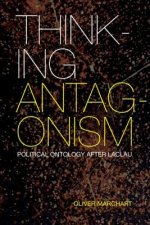 Thinking Antagonism