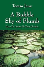 Bubble Shy of Plumb